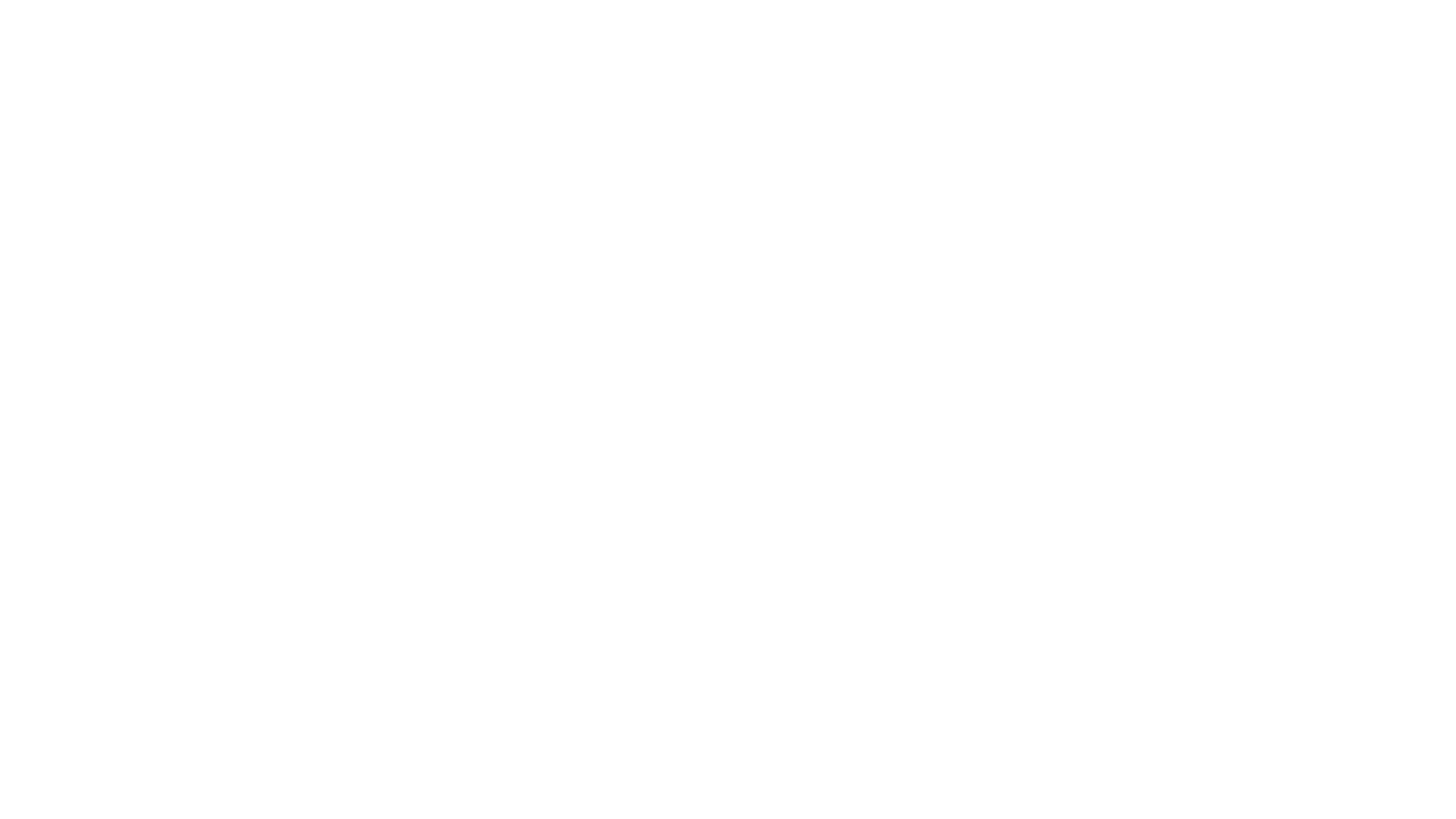 Digifiv